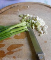 cut the spring onion into small pieces